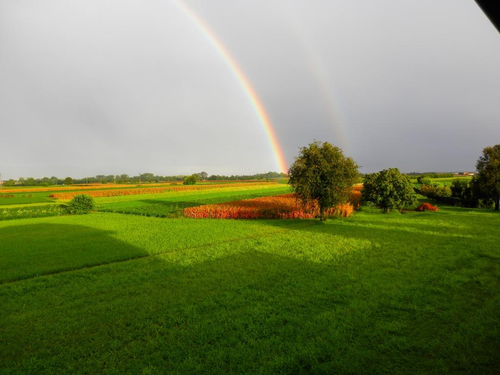 לינה וארוחת בוקר Povoletto Agriturismo Cjargnei מראה חיצוני תמונה